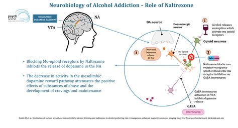 The seizure risk that is related to Bupropion stems from a different mechanism which does not exist in MPH. . Bupropion and methylphenidate combination